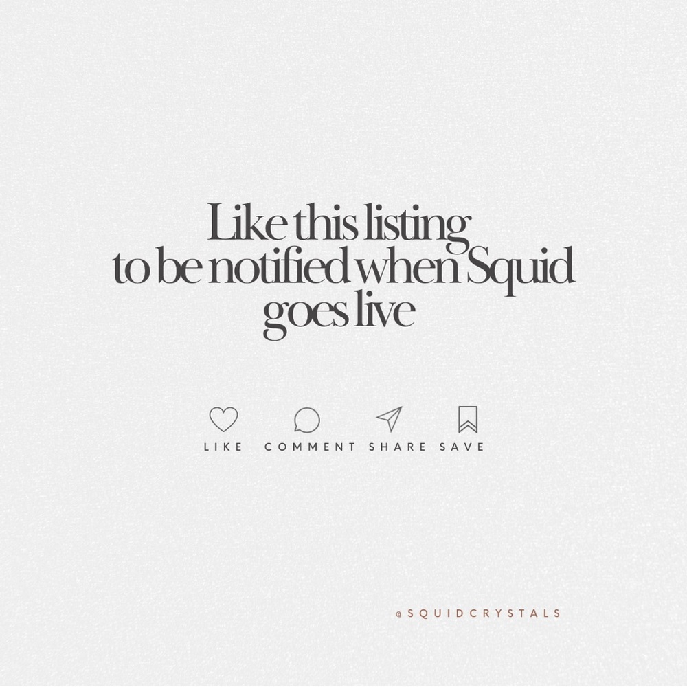 05/12 canceled — Like to be notified squid is live ✨✨ - Picture 5 of 8